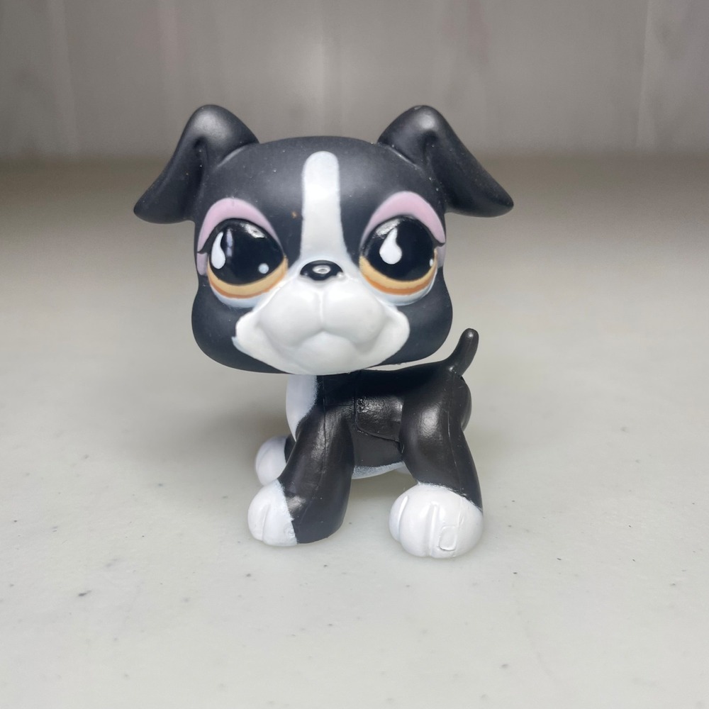 Hasbro Littlest Pet Shop 826 Boxer Puppy Dog Black White Brown Teardrop Eyes